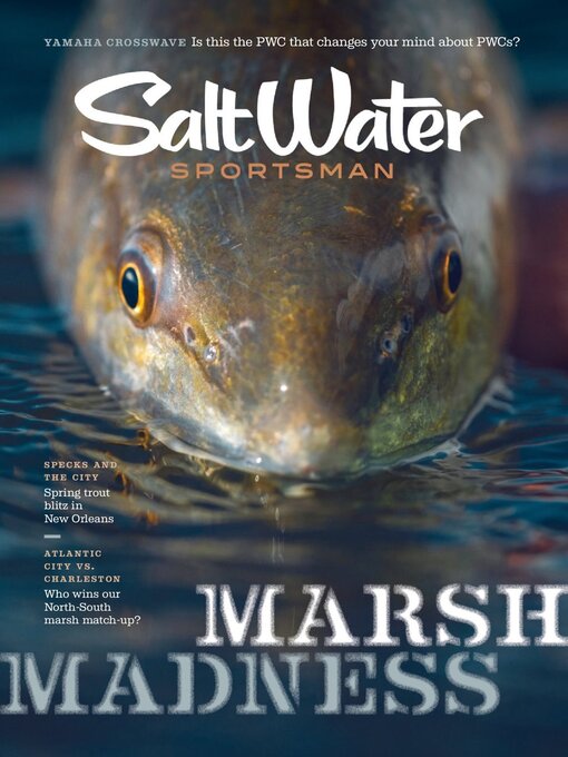Title details for Salt Water Sportsman by Firecrown Media Inc. - Available
